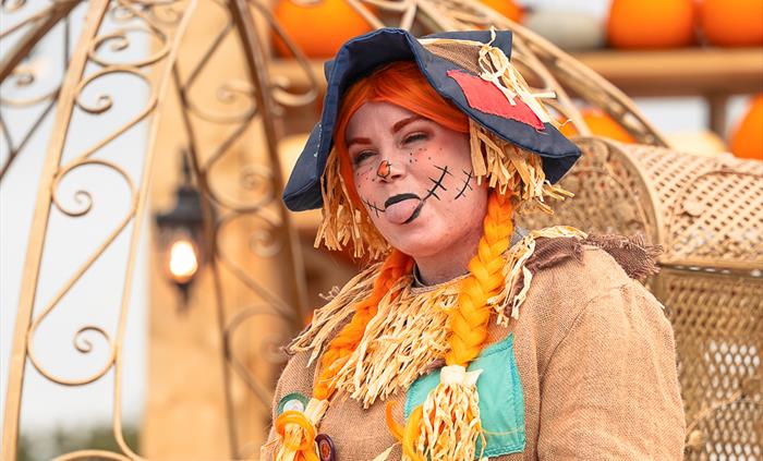 Pumpkin Fest